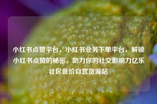 小红书点赞平台，小红书业务下单平台，解锁小红书点赞的秘密，助力你的社交影响力亿乐社区低价自营货源站