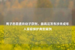 男子恶意遗弃幼子获刑，最高法发布涉未成年人家庭保护典型案例
