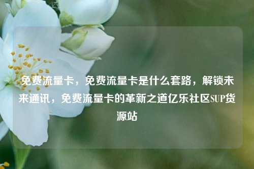 免费流量卡	，免费流量卡是什么套路，解锁未来通讯，免费流量卡的革新之道亿乐社区SUP货源站  第1张