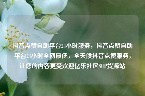 抖音点赞自助平台24小时服务	，抖音点赞自助平台24小时全网最低，全天候抖音点赞服务，让您的内容更受欢迎亿乐社区SUP货源站  第1张