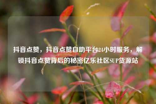 抖音点赞	，抖音点赞自助平台24小时服务，解锁抖音点赞背后的秘密亿乐社区SUP货源站  第1张