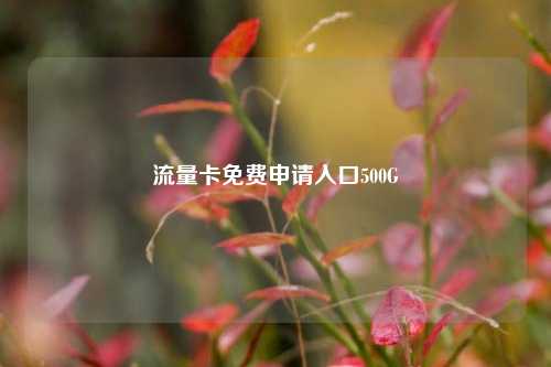 流量卡免费申请入口500G  第1张