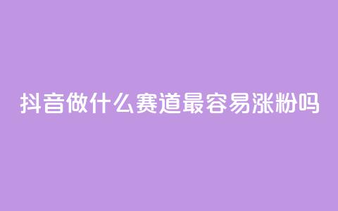 抖音做什么赛道最容易涨粉吗,抖音粉丝增加助手 - qq号批发1元一个可改密  第1张