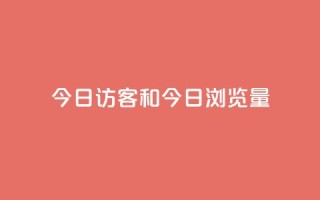 今日访客和今日浏览量,网红商城快手业务24小时营业 - pdd提现700套路最后一步 - 全网最低价业务网站