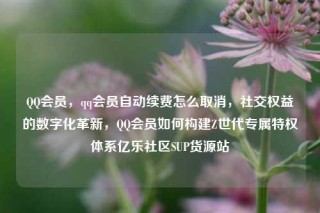 QQ会员，qq会员自动续费怎么取消，社交权益的数字化革新，QQ会员如何构建Z世代专属特权体系亿乐社区SUP货源站
