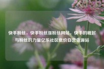 快手粉丝，快手粉丝涨粉丝网站，快手的崛起与粉丝的力量亿乐社区低价自营货源站