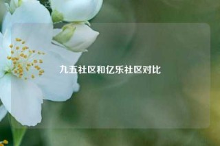 九五社区和亿乐社区对比