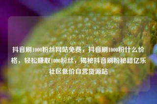 抖音刷1000粉丝网站免费，抖音刷1000粉什么价格，轻松赚取1000粉丝，揭秘抖音刷粉秘籍亿乐社区低价自营货源站