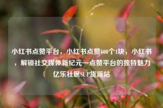 小红书点赞平台，小红书点赞100个1块，小红书，解锁社交媒体新纪元—点赞平台的独特魅力亿乐社区SUP货源站