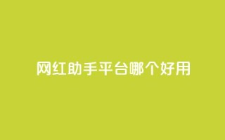 网红助手平台哪个好用,彩虹云自助下单商城 - KS低价真人双击 - 斗鱼主播人气怎么提高