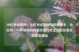 小红书点赞网，小红书点赞网马线报帮手，小红书，一种独特的网络交流方式亿乐社区低价自营货源站