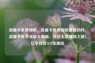 流量卡免费领取，流量卡免费领取是真的吗，流量卡免费领取大揭秘，开启无限畅快之旅！亿乐社区SUP货源站