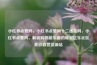 小红书点赞网，小红书点赞网十二出品网，小红书点赞网，解锁购物新乐趣的秘密亿乐社区低价自营货源站