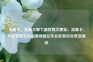 流量卡，流量卡哪个最好用又便宜，流量卡，开启智慧生活的新钥匙亿乐社区低价自营货源站