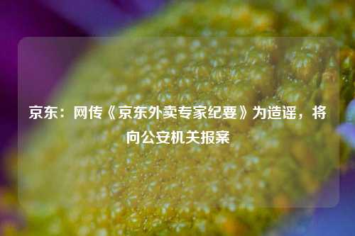 京东：网传《京东外卖专家纪要》为造谣，将向公安机关报案  第1张