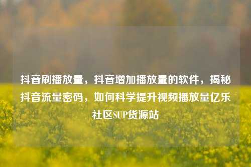 抖音刷播放量，抖音增加播放量的软件	，揭秘抖音流量密码，如何科学提升视频播放量亿乐社区SUP货源站  第1张