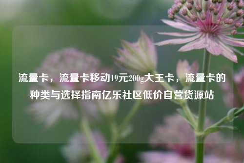 流量卡，流量卡移动19元200g大王卡，流量卡的种类与选择指南亿乐社区低价自营货源站  第1张
