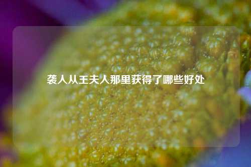 袭人从王夫人那里获得了哪些好处  第1张
