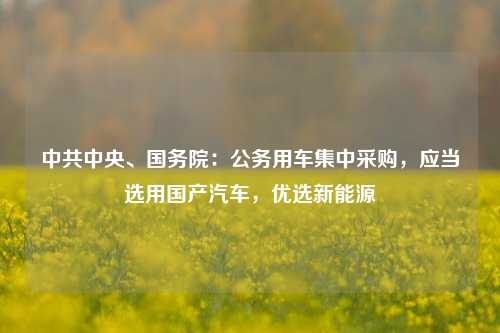 中共中央、国务院：公务用车集中采购，应当选用国产汽车	，优选新能源  第1张