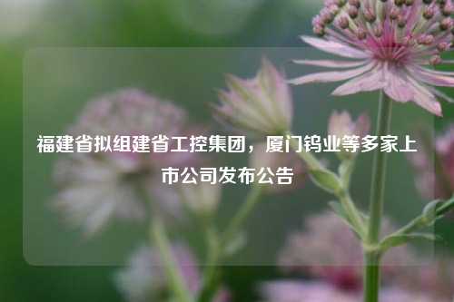 福建省拟组建省工控集团	，厦门钨业等多家上市公司发布公告  第1张