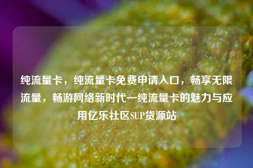 纯流量卡，纯流量卡免费申请入口，畅享无限流量	，畅游网络新时代—纯流量卡的魅力与应用亿乐社区SUP货源站  第1张