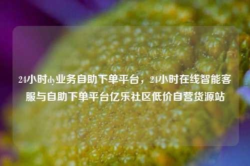 24小时dy业务自助下单平台，24小时在线智能客服与自助下单平台亿乐社区低价自营货源站  第1张
