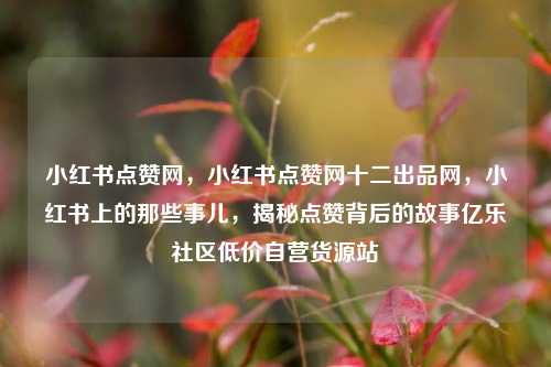 小红书点赞网	，小红书点赞网十二出品网，小红书上的那些事儿，揭秘点赞背后的故事亿乐社区低价自营货源站  第1张