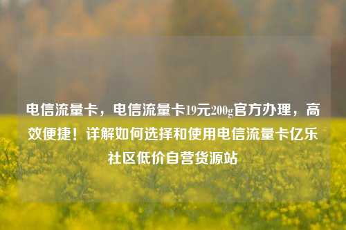 电信流量卡	，电信流量卡19元200g官方办理，高效便捷！详解如何选择和使用电信流量卡亿乐社区低价自营货源站  第1张