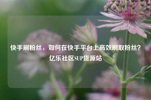 快手刷粉丝，如何在快手平台上高效刷取粉丝？亿乐社区SUP货源站  第1张