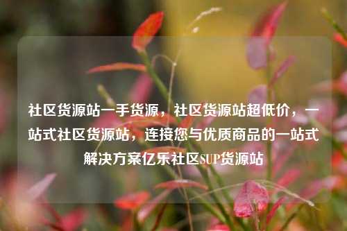社区货源站一手货源，社区货源站超低价	，一站式社区货源站，连接您与优质商品的一站式解决方案亿乐社区SUP货源站  第1张