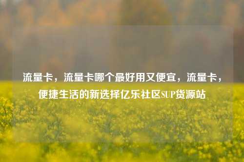 流量卡，流量卡哪个最好用又便宜，流量卡，便捷生活的新选择亿乐社区SUP货源站  第1张