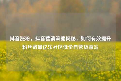 抖音涨粉，抖音营销策略揭秘	，如何有效提升粉丝数量亿乐社区低价自营货源站  第1张