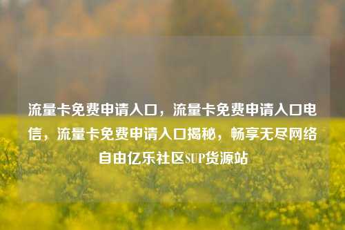流量卡免费申请入口，流量卡免费申请入口电信，流量卡免费申请入口揭秘，畅享无尽网络自由亿乐社区SUP货源站  第1张