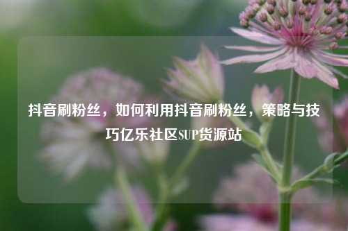 抖音刷粉丝，如何利用抖音刷粉丝	，策略与技巧亿乐社区SUP货源站  第1张