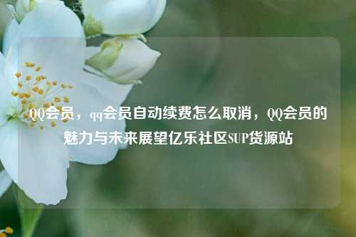 QQ会员	，qq会员自动续费怎么取消，QQ会员的魅力与未来展望亿乐社区SUP货源站  第1张