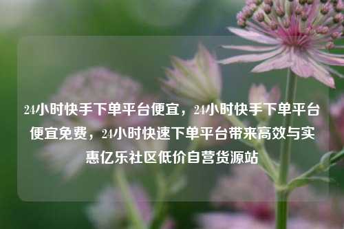 24小时快手下单平台便宜，24小时快手下单平台便宜免费	，24小时快速下单平台带来高效与实惠亿乐社区低价自营货源站  第1张