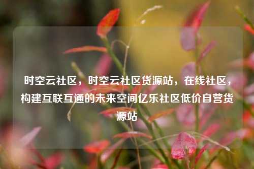 时空云社区，时空云社区货源站	，在线社区，构建互联互通的未来空间亿乐社区低价自营货源站  第1张