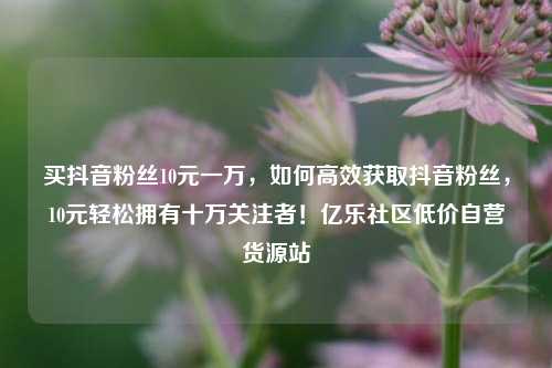 买抖音粉丝10元一万	，如何高效获取抖音粉丝，10元轻松拥有十万关注者！亿乐社区低价自营货源站  第1张