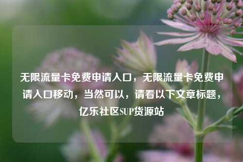 无限流量卡免费申请入口，无限流量卡免费申请入口移动，当然可以，请看以下文章标题	，亿乐社区SUP货源站  第1张