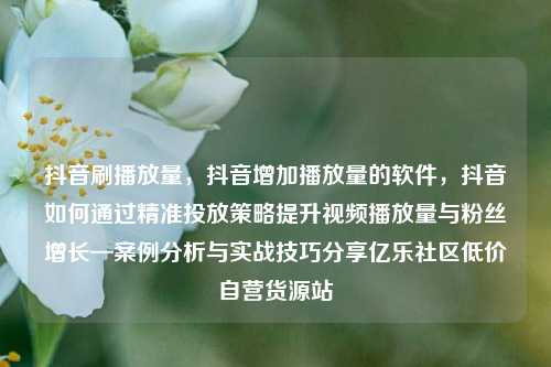 抖音刷播放量，抖音增加播放量的软件，抖音如何通过精准投放策略提升视频播放量与粉丝增长—案例分析与实战技巧分享亿乐社区低价自营货源站  第1张