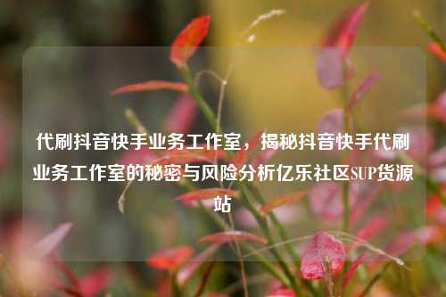 代刷抖音快手业务工作室，揭秘抖音快手代刷业务工作室的秘密与风险分析亿乐社区SUP货源站  第1张