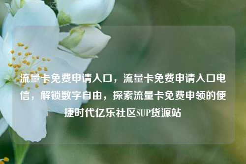 流量卡免费申请入口，流量卡免费申请入口电信	，解锁数字自由，探索流量卡免费申领的便捷时代亿乐社区SUP货源站  第1张